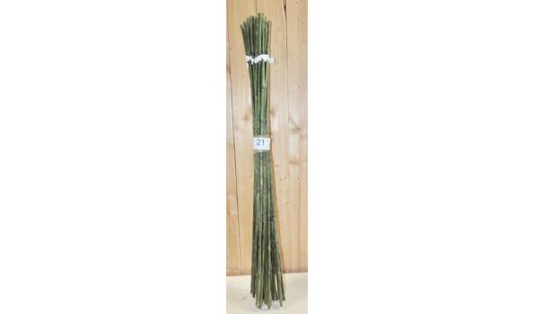 Kunst Bamboe sticks circa 25 stuks
